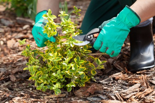 Staff loading reusable plants for charity partners at a transfer point