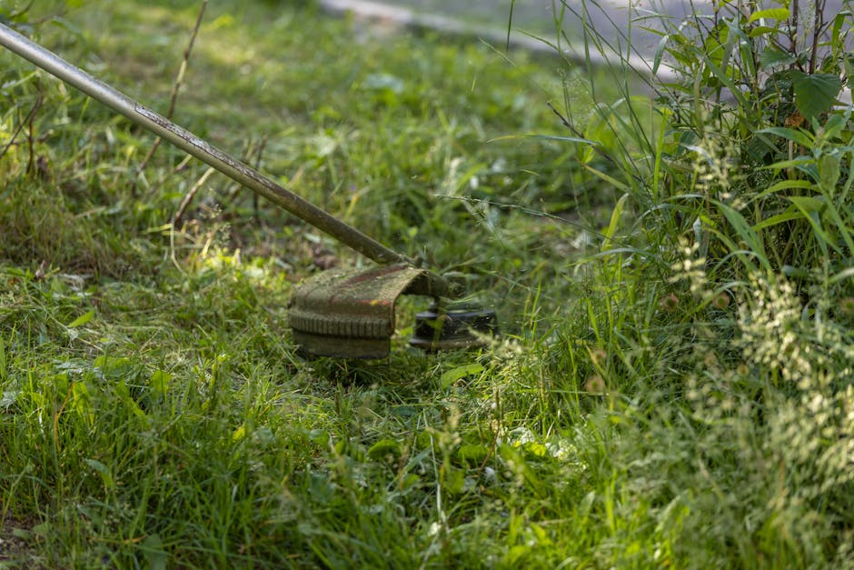 A garden scene featuring a lawn being maintained with a manual grass trimmer lying on the ground, partially concealed by tall grass and leafy plants. The garden beds are bordered by a variety of green