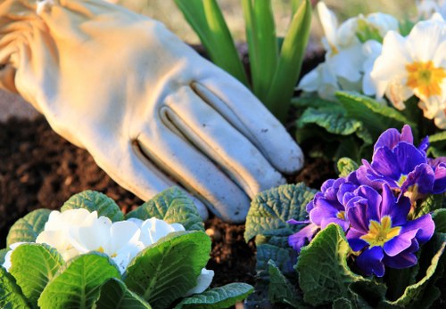 Seasonal garden maintenance in Feltham