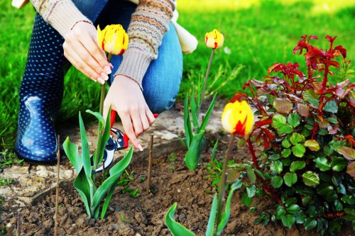 Professional gardener tending to plants